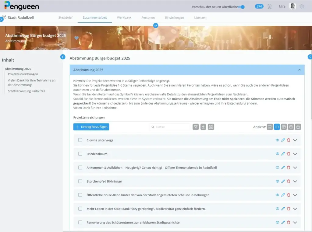 Screenshot für die Maske zum Einreichen der Projektideen bei der Stadt Radolfzell